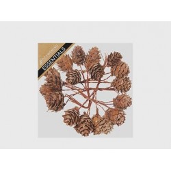 MINI PIGNE C/STELO IN BOX 3 MIS.