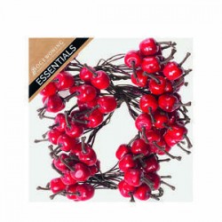 PICKS MINI APPLE IN BOX