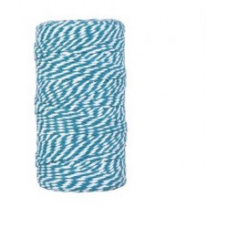 CORDINO BICOLORE mm2x100mt AZZURRO/BIANCO