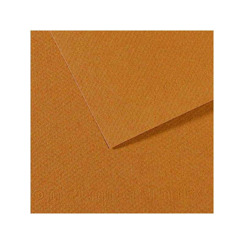 CARTONCINO MI-TEINTES CANSON A4 50fg 160gr CACHOU 336