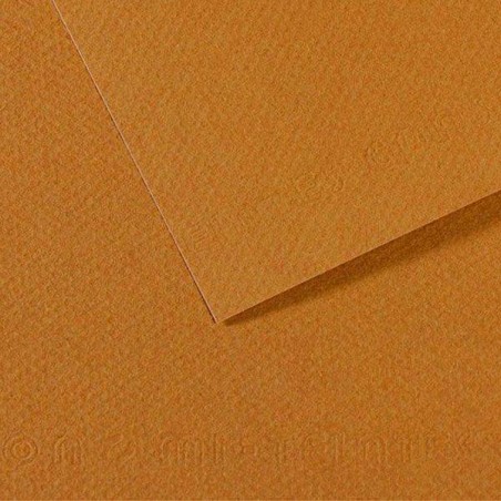 CARTONCINO MI-TEINTES CANSON A4 50fg 160gr CACHOU 336