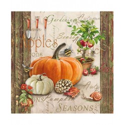 TOVAGLIOLI 33x33 AUTUMN GARDENING 20pz