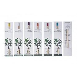 MATITA CON SEMI FIORI PIANTABILI