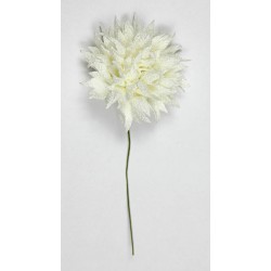 FIORE RAVELLO Ø6cm CREMA 12pz