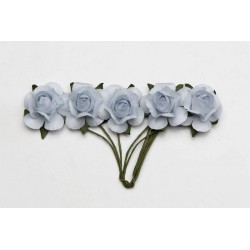 PICKS FIORE CELESTE ø2cm 20pz