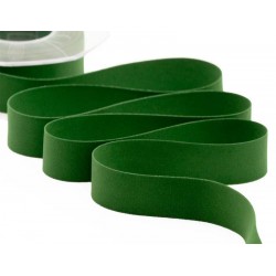 NASTRO VELLUTO DOPPIO mm25x7mt COL.633 VERDE INGLESE
