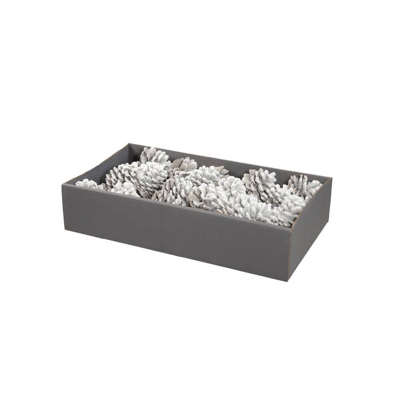 VASSOIO PIGNE AUSTRIACHE BIANCHE 45pz