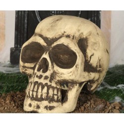 TESCHIO IN FOAM 32cm