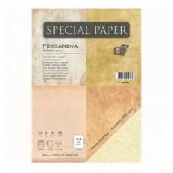 CARTA A4 21x29,7 PERGAMENA AVORIO gr.160 25fg