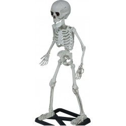 SCHELETRO IN PIEDI 55cm