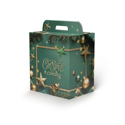 SCATOLA REGALO C/MANIGLIA LINEA 100 30,5x23x34cm STARLIGHT