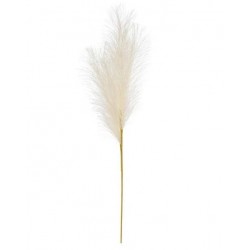 PAMPAS H60cm BIANCA