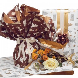 BOBINA PPL 40my H.100x25mt STAMPA ALPINE 12-ROSSO