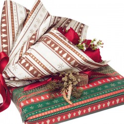 BOBINA PPL 40my H.100x25mt STAMPA CANAZEI 12-ROSSO