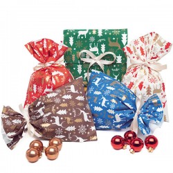 BUSTE REGALO P.P.L. 16x25cm NORDPOL ASS.TO 100PZ