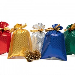 BUSTE REGALO P.P.L. 20x35cm SPARKLE ASS.TO 100PZ