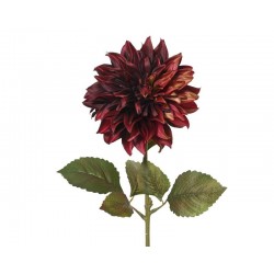 DALIA IN POLIESTERE BURGUNDY 74cm