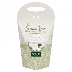 SCATOLINA CON GESSO QUADRIFOGLIO E CARTA PIANTABILE...