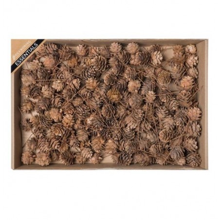 PIGNE CON RAMO 200pz IN BOX