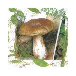 TOVAGLIOLI 33X33 3VELI FUNGHI 20PZ