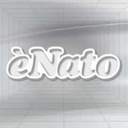 VASSOIO SAGOMA POLISTIROLO è NATO