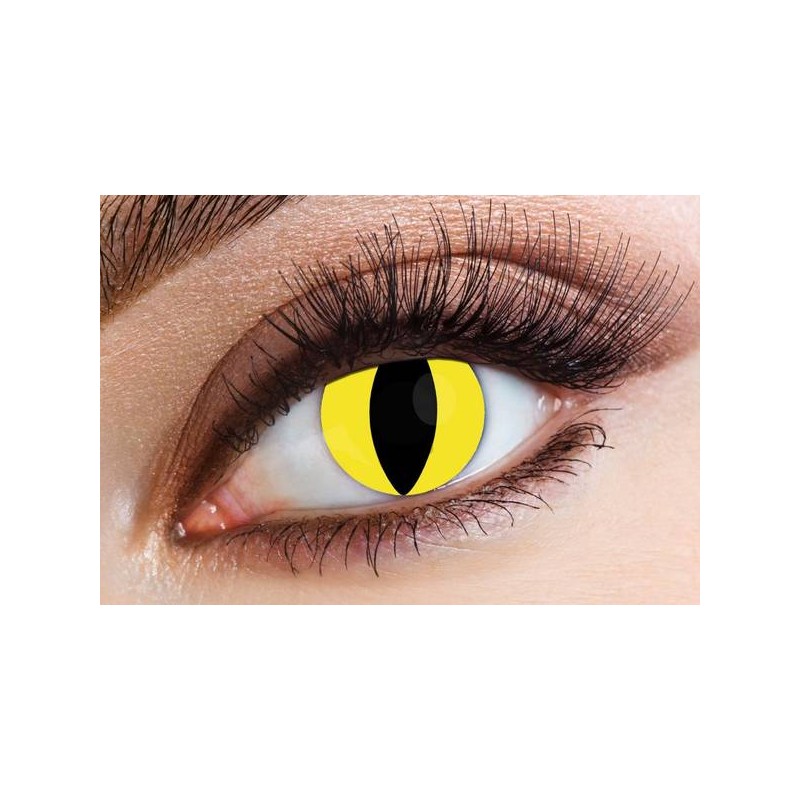 LENTI A CONTATTO GIORNALIERE FELINE