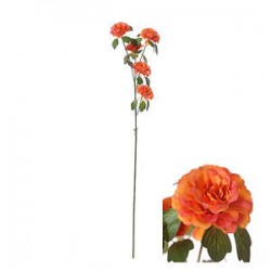 STELO RANUNCOLO ARANCIO 70cm