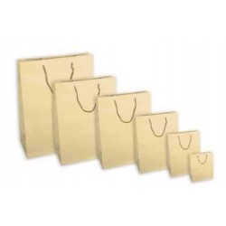 SHOPPER IN CARTA PLASTIFICATA OPACA 27x12x37cm VERDE CHIARO