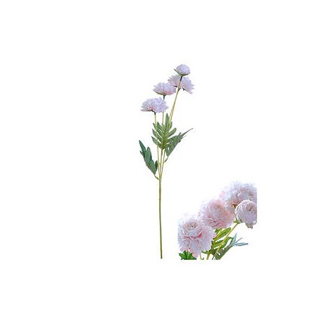 STELO 4 ZINNIANS ROSA CHIARO 61cm