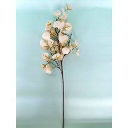 RAMO EUCALYPTUS 73cm BEIGE