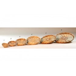 VASSOIO TONDO VIMINI ø25