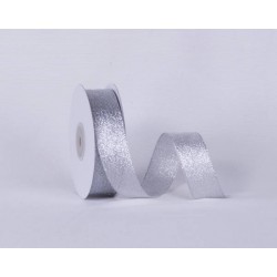 NASTRO RASETTO O/A mm25x25mt COL.101 ARGENTO