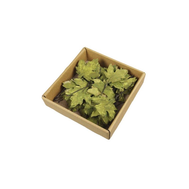 FOGLIE D'ACERO IN SCATOLA 24pz VERDE