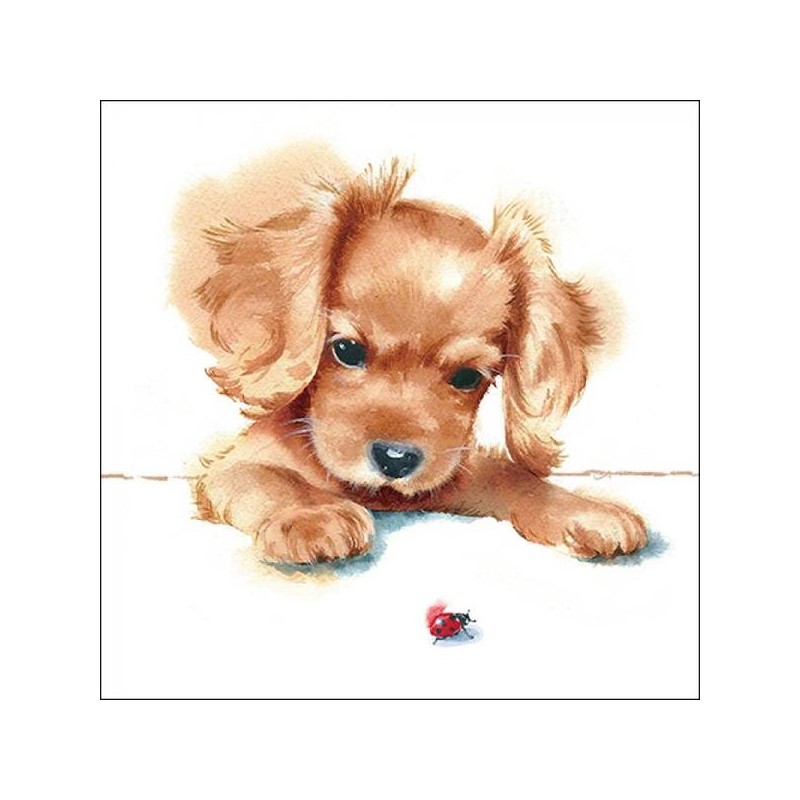 TOVAGLIOLI 33x33 CANE & COCCINELLA 20pz