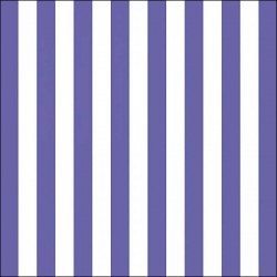 TOVAGLIOLI 33x33 RIGHE BLU 20pz