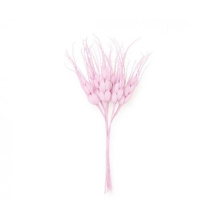 MAZZETTO 6 SPIGHE ROSA 14cm 12pz (12x6)