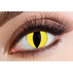 LENTI A CONTATTO GIORNALIERE FELINE