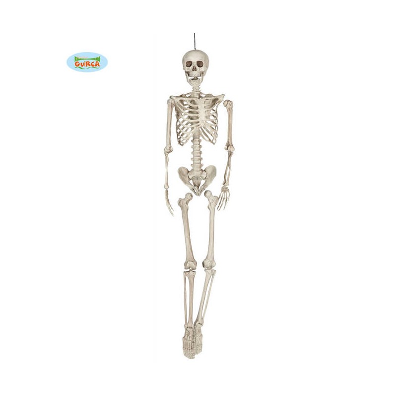 SCHELETRO 160cm