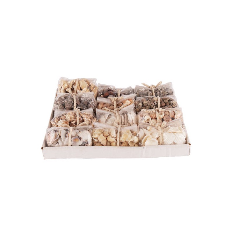 BUSTA DI CONCHIGLIE E POTPOURRI C/CORDA ASS.TI 1pz