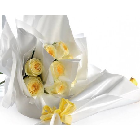 FOGLI PPL PERLATI NEUTRI 70x100cm 40my 25fg