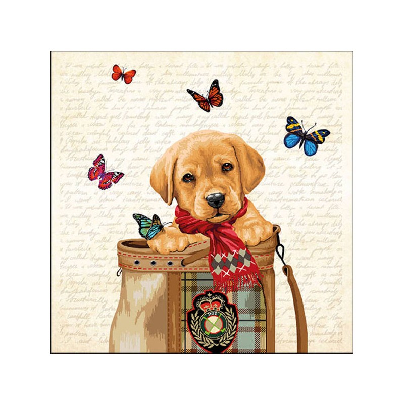 TOVAGLIOLI 33x33 BUDDY 20pz