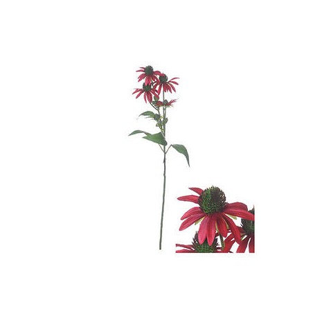 STELO BOUGAINVILLEA ROSSO 76cm