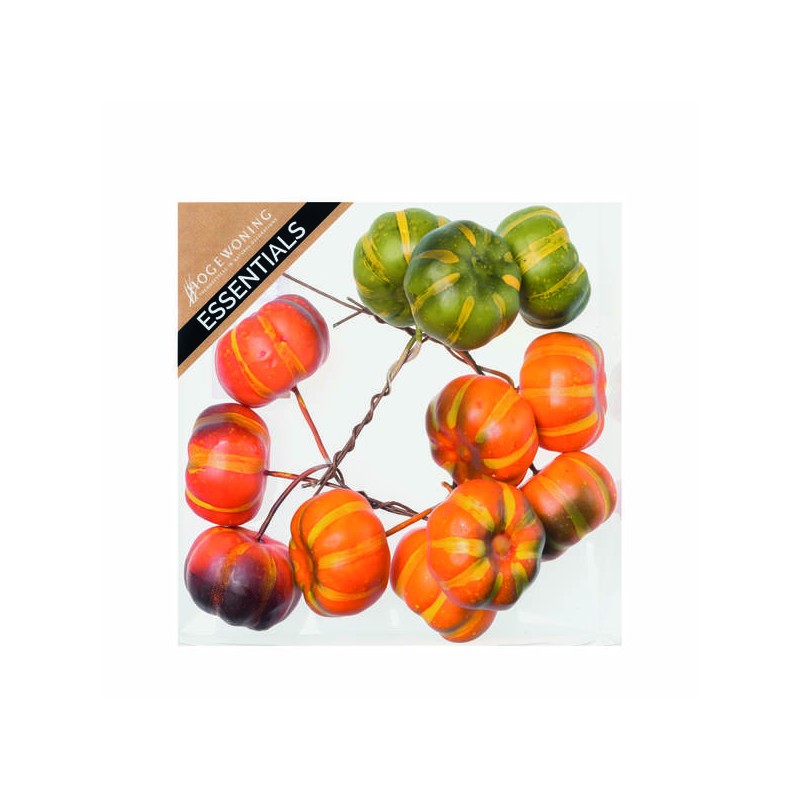 PICKS ZUCCHE C/FILO 4cm IN BOX