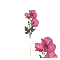 STELO HIBISCUS ROSA 80cm