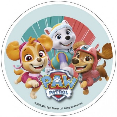 DISCO CIALDA PAW PATROL 21cm ART.40226