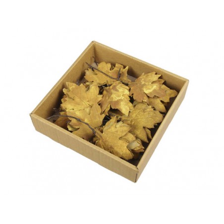 FOGLIE D'ACERO IN SCATOLA 24pz SENAPE