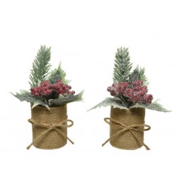 BACCHE ROSSE E PINETTO IN VASO JUTA H 15cm