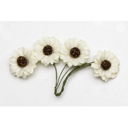 PICKS GIRASOLE BIANCO ø2,2cm 12pz