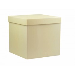 SCATOLA F/COPERCHIO QUADRATELLA 33x33x33cm GOFFR. AVORIO PORTATA 10kg
