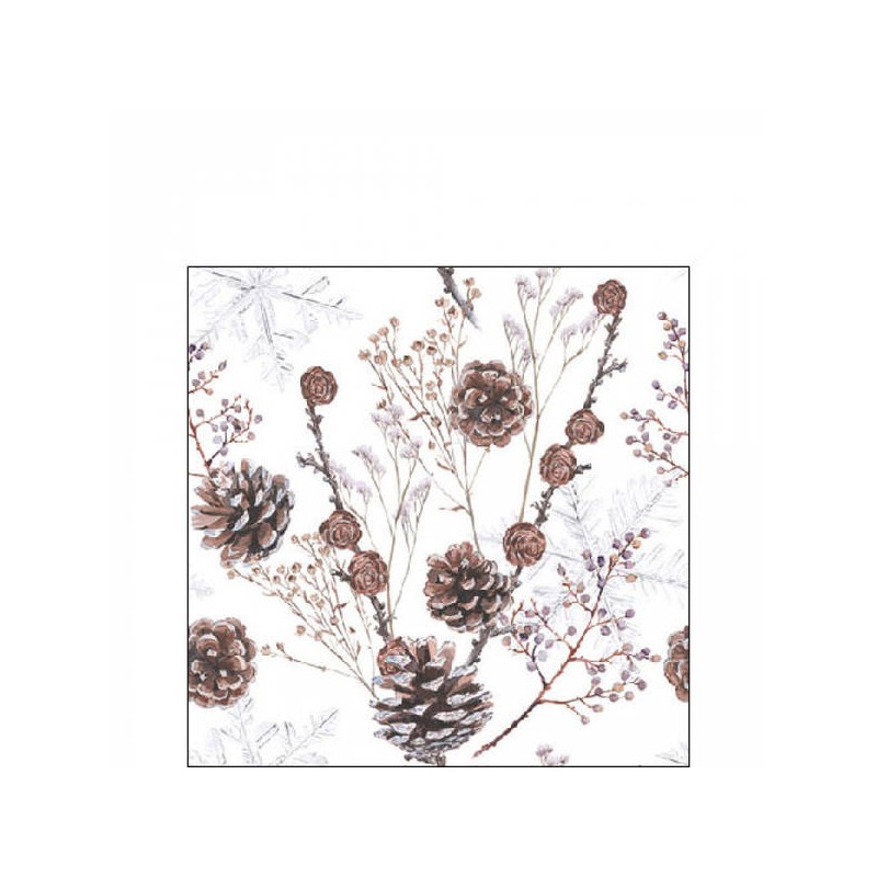 TOVAGLIOLI 25x25cm RICICLATO PIGNA WHITE 20pz